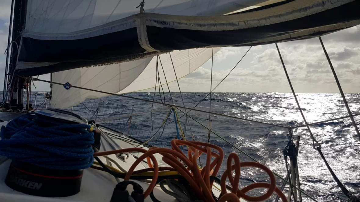 Message de la mer : Mathieu Claveau Prendre la mer Agir pour la forêt (Class40)